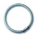 Fluorescent Circular