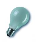 Incandescent Lamps Standard